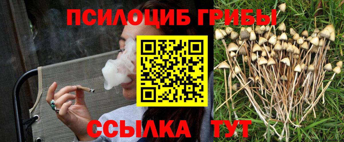 Галлюциногенные грибы Psilocybine cubensis  Псилоцибиновые грибы Psilocybine cubensis  закладки  Вход с VPN  Обь 