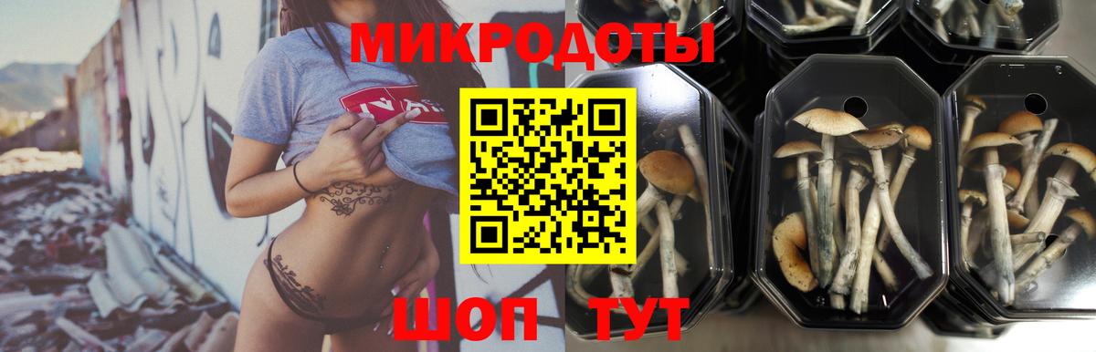 Галлюциногенные грибы Magic Shrooms Обь